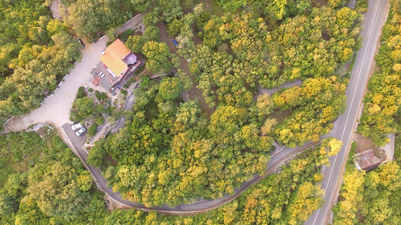 The Forest House Krk 1 Kras Zewnętrze zdjęcie